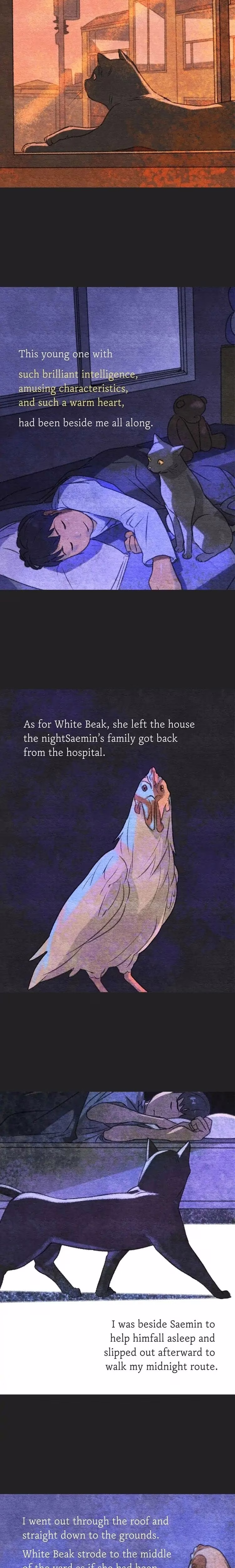 A Cat's Tale - Chapter 12 - Part 3