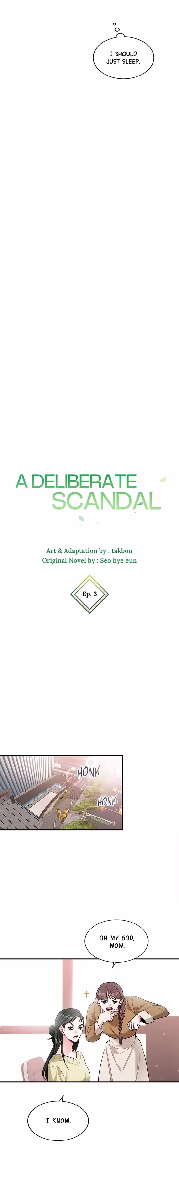 A Deliberate Scandal - Chapter 3 - Part 6