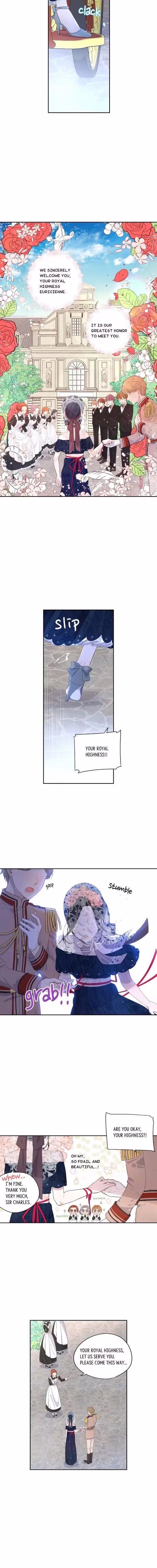 A Royal Princess With Black Hair - Chapter 1 - Part 8