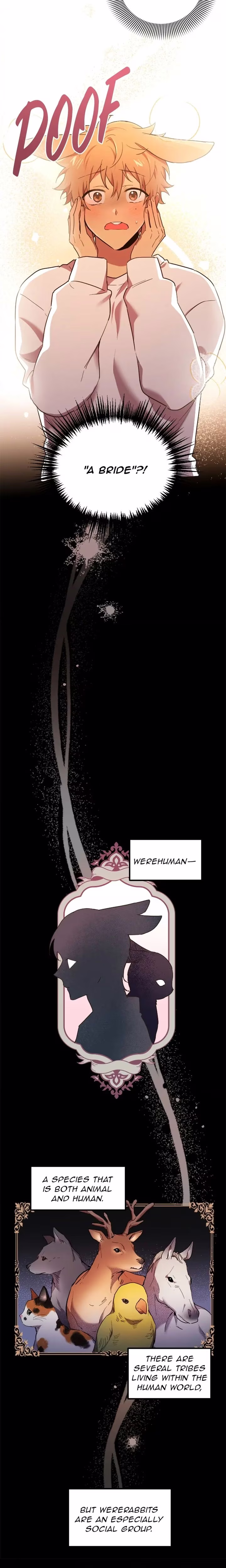 Cheeky Habits of My Rabbits - Chapter 1 - Part 12