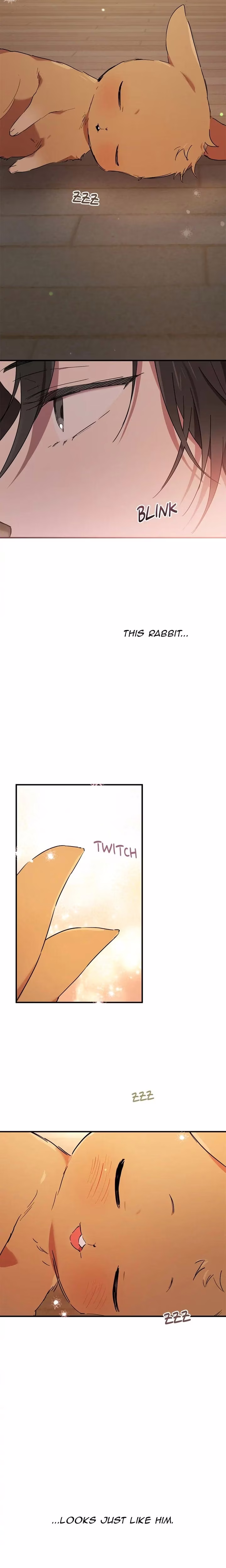 Cheeky Habits of My Rabbits - Chapter 13 - Part 21