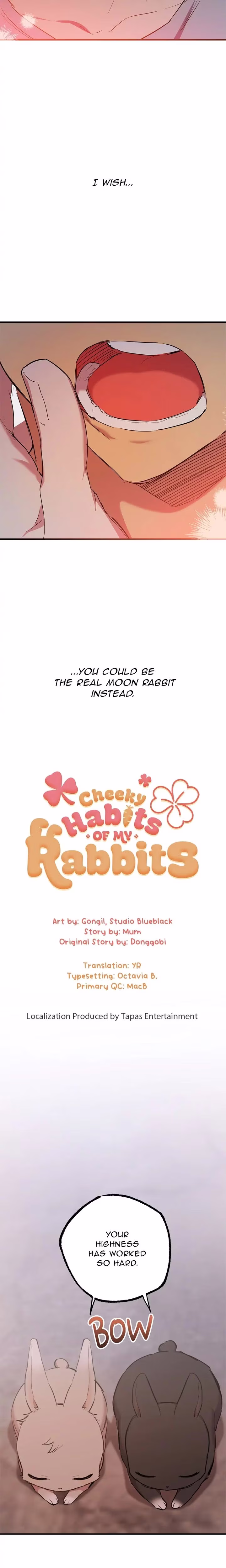 Cheeky Habits of My Rabbits - Chapter 19 - Part 7