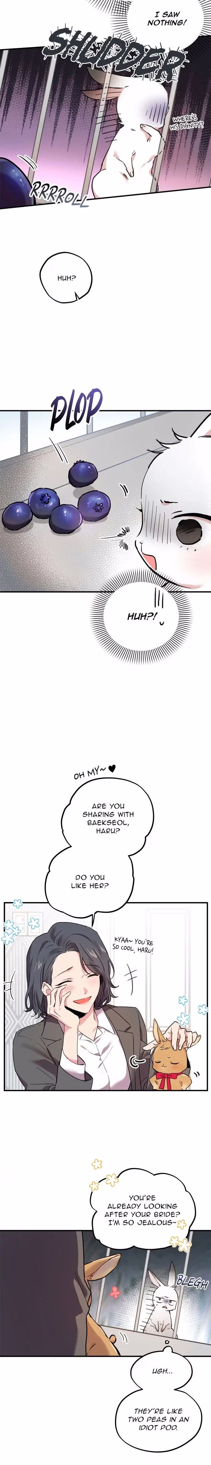 Cheeky Habits of My Rabbits - Chapter 2 - Part 17