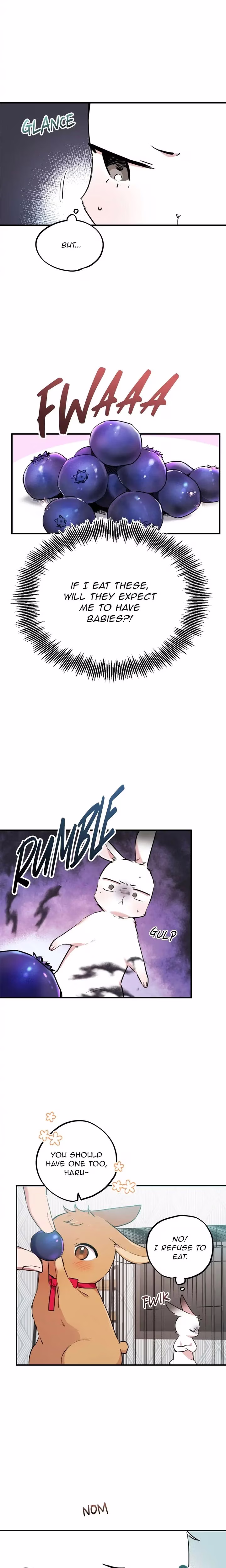 Cheeky Habits of My Rabbits - Chapter 2 - Part 18