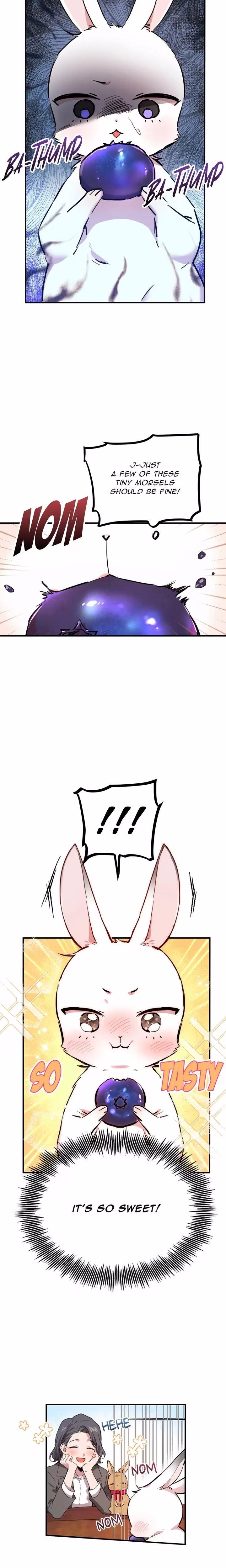 Cheeky Habits of My Rabbits - Chapter 2 - Part 21