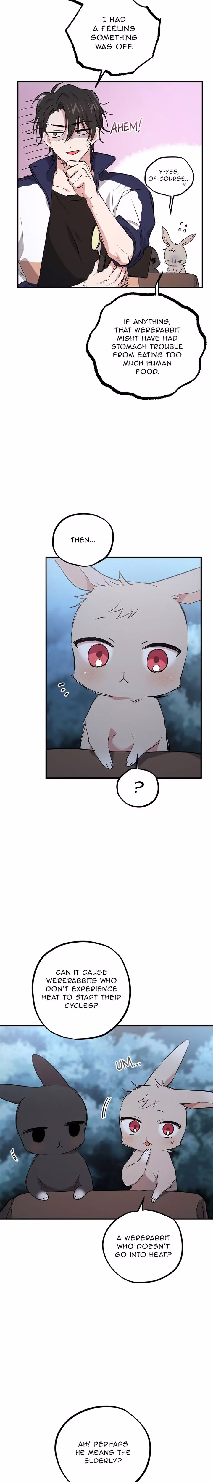 Cheeky Habits of My Rabbits - Chapter 20 - Part 5