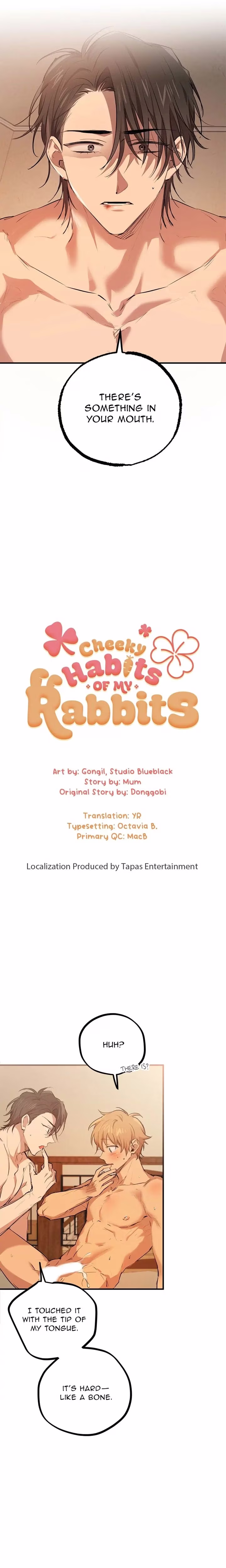 Cheeky Habits of My Rabbits - Chapter 26 - Part 7