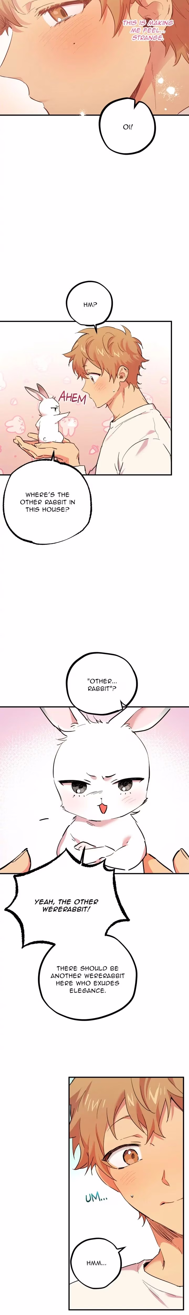 Cheeky Habits of My Rabbits - Chapter 3 - Part 4