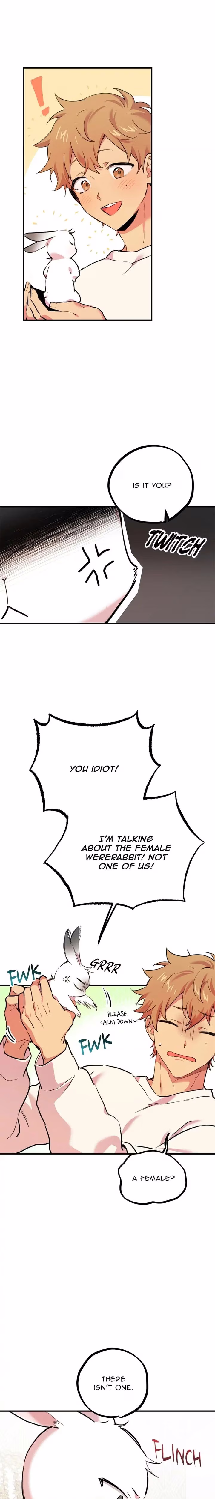 Cheeky Habits of My Rabbits - Chapter 3 - Part 5