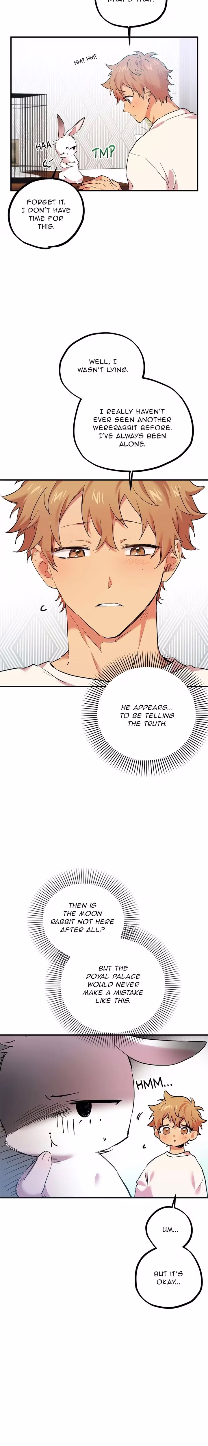 Cheeky Habits of My Rabbits - Chapter 3 - Part 7