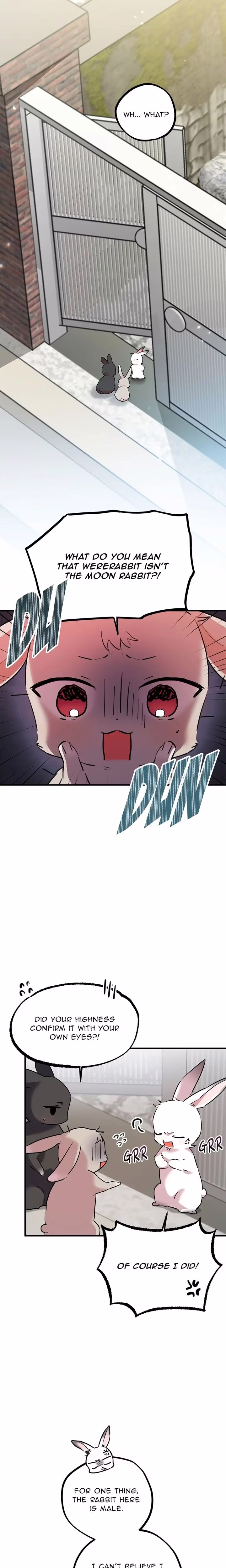 Cheeky Habits of My Rabbits - Chapter 3 - Part 16