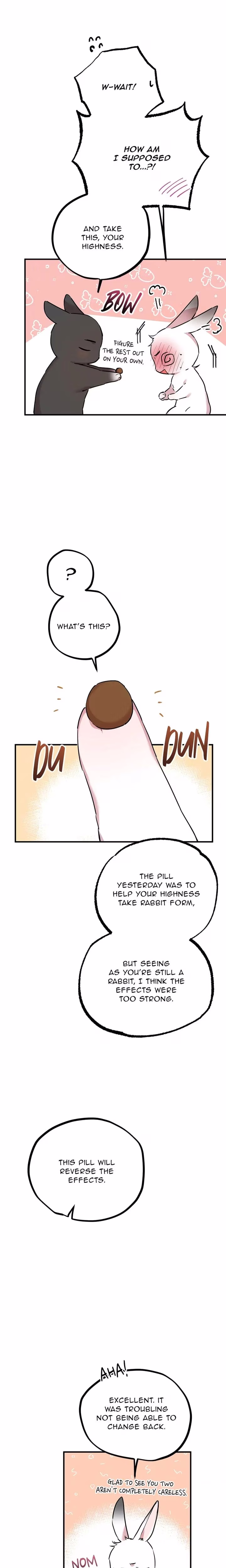 Cheeky Habits of My Rabbits - Chapter 3 - Part 21