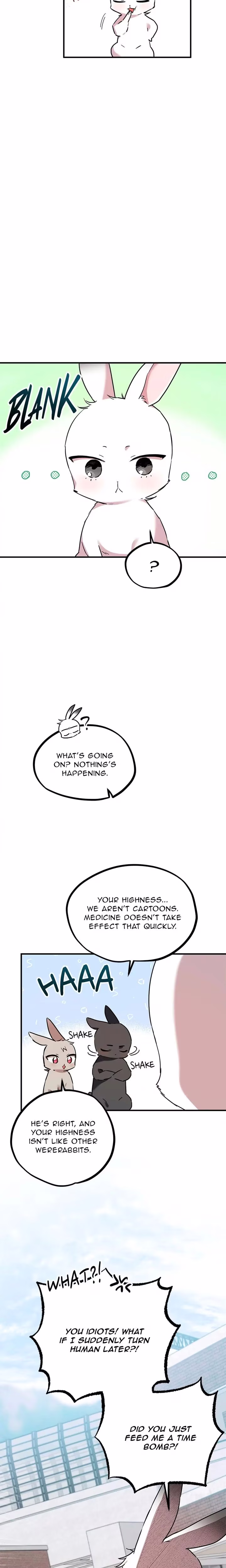 Cheeky Habits of My Rabbits - Chapter 3 - Part 22