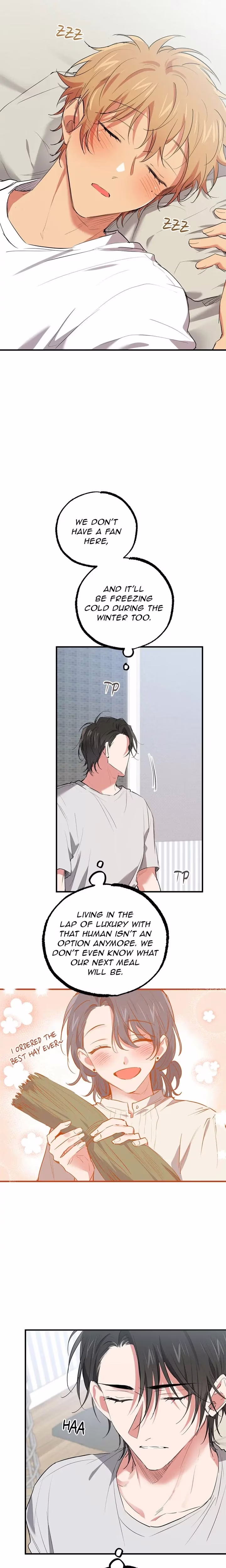 Cheeky Habits of My Rabbits - Chapter 39 - Part 5