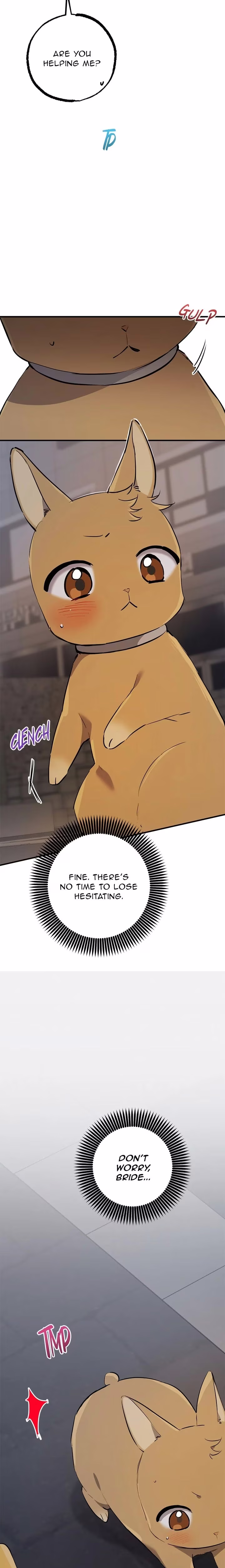 Cheeky Habits of My Rabbits - Chapter 47 - Part 24