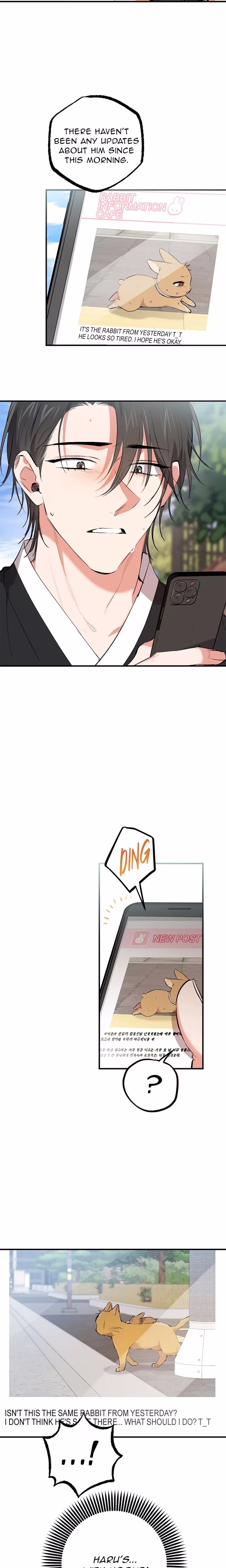 Cheeky Habits of My Rabbits - Chapter 50 - Part 9