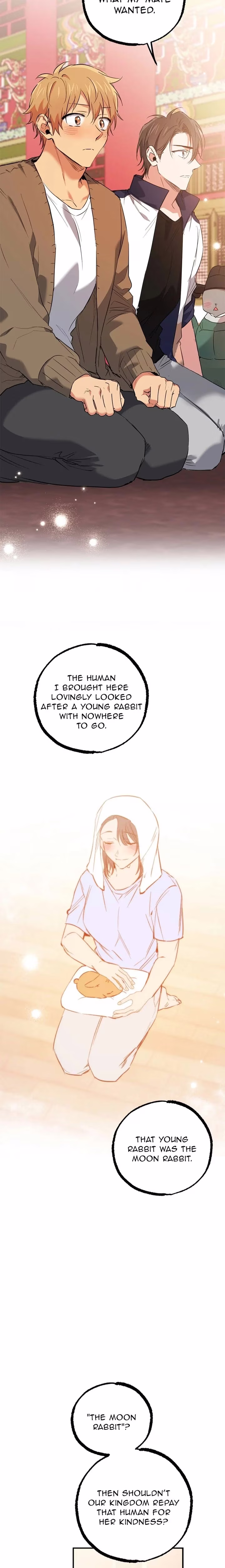 Cheeky Habits of My Rabbits - Chapter 62 - Part 9