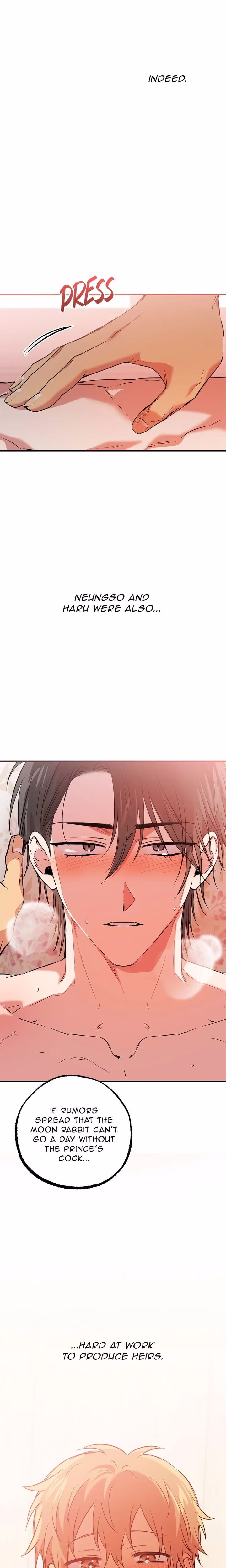 Cheeky Habits of My Rabbits - Chapter 63 - Part 26