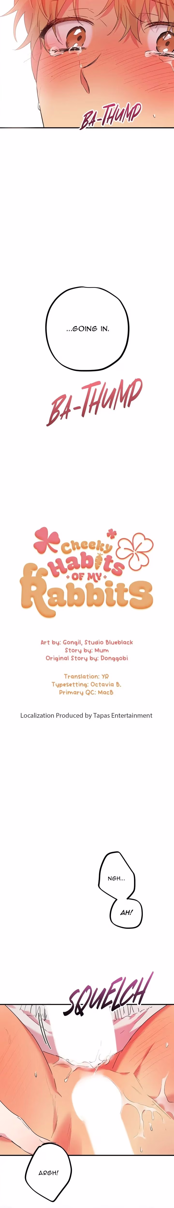 Cheeky Habits of My Rabbits - Chapter 9 - Part 6