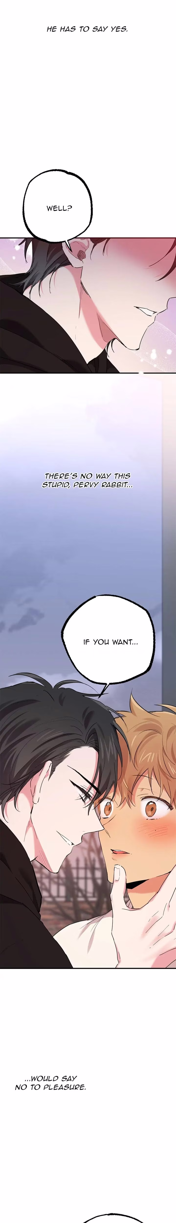 Cheeky Habits of My Rabbits - Chapter 9 - Part 25