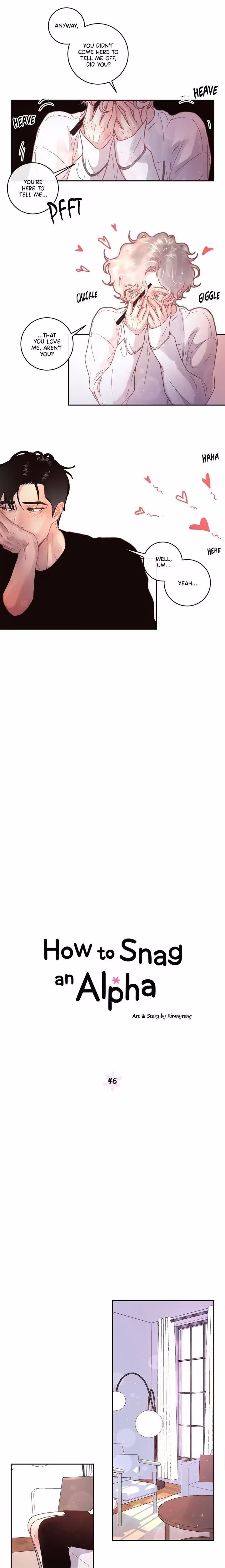 How to Snag an Alpha - Chapter 47 - Part 3