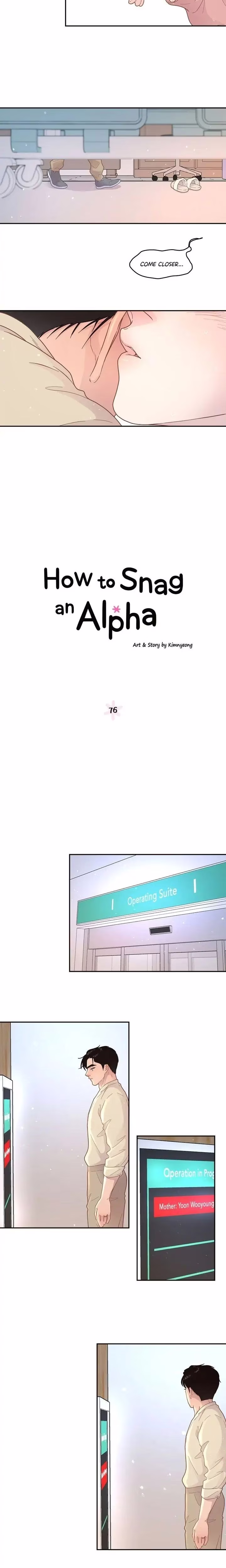 How to Snag an Alpha - Chapter 77 - Part 3