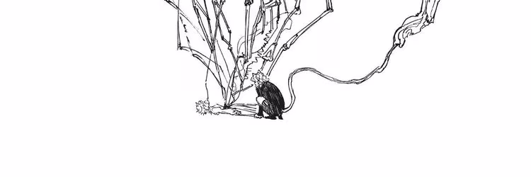 Hunter x Hunter - Chapter 273 - Part 5