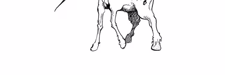 Hunter x Hunter - Chapter 289 - Part 5