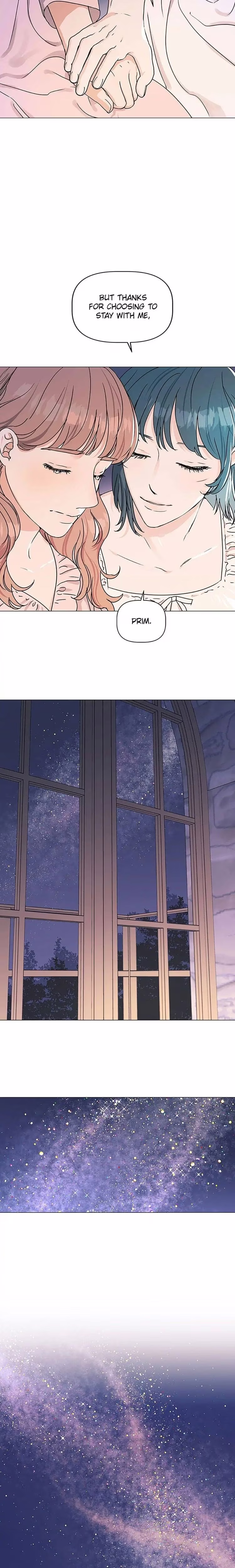 My Dazzling Downfall - Chapter 17 - Part 12