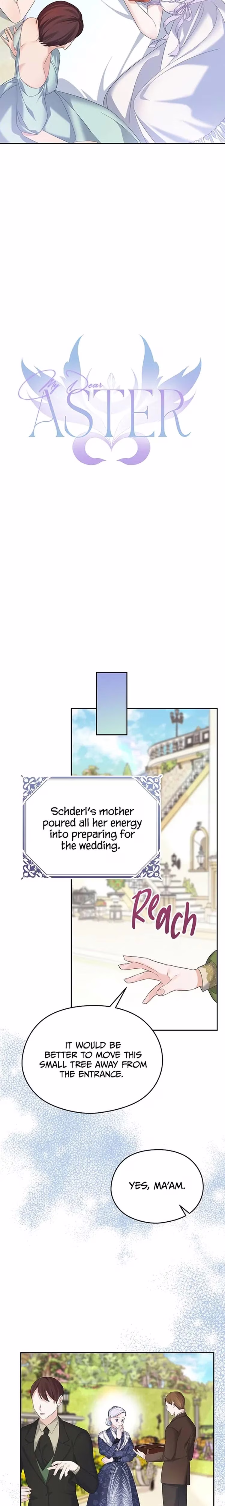 My Dear Aster - Chapter 50 - Part 11