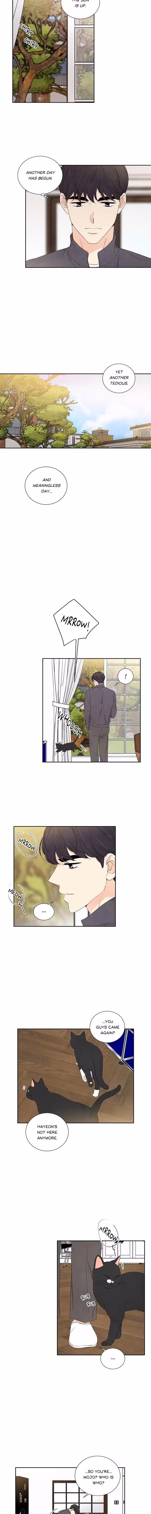 Painful but Desirable - Chapter 55 - Part 6