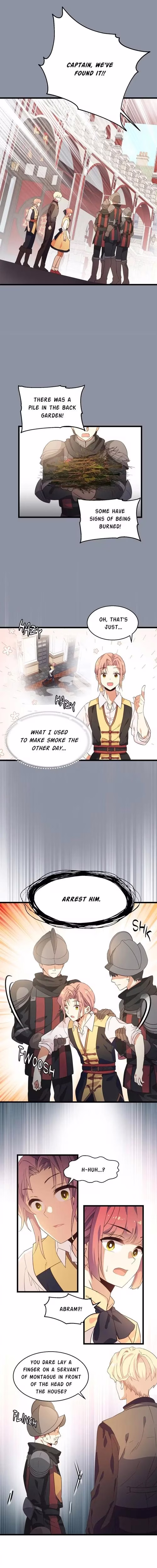 The Events of Romeo's Household - Chapter 7 - Part 9