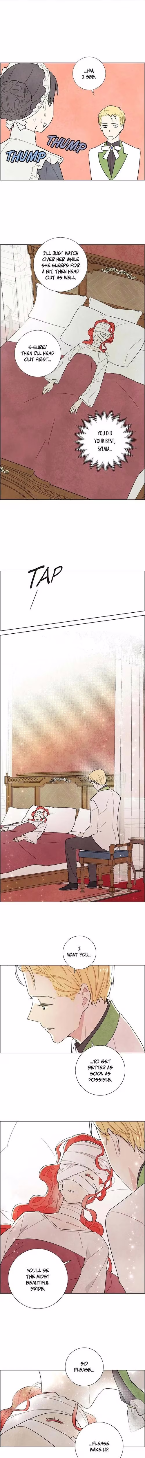 The First Night With the Duke - Chapter 17 - Part 11