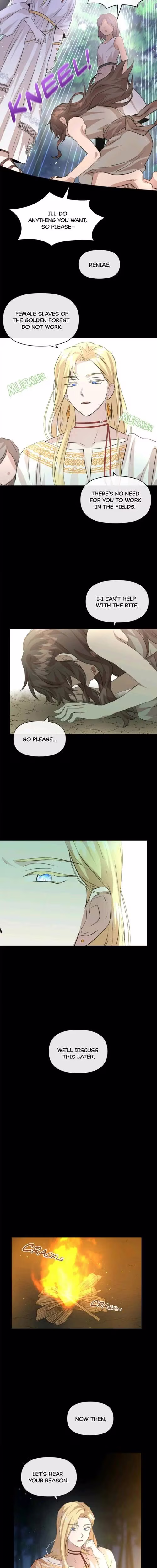 The Golden Forest - Chapter 21 - Part 3