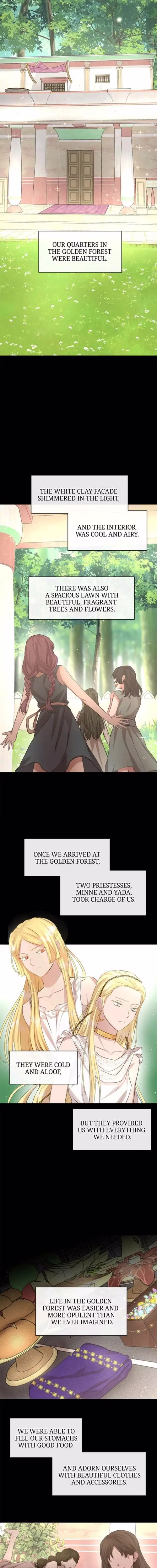 The Golden Forest - Chapter 21 - Part 11