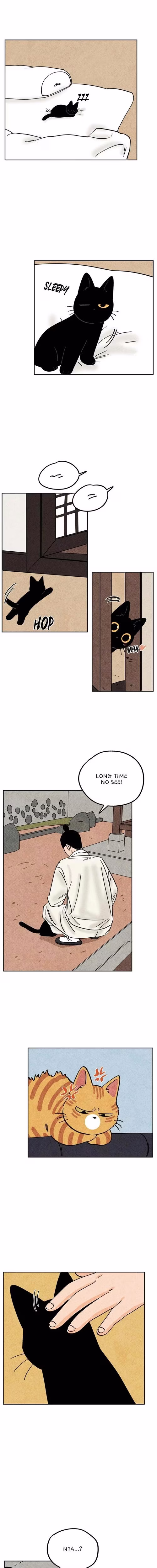 The Tale of Goldiluck the Black Kitten - Chapter 110 - Part 9