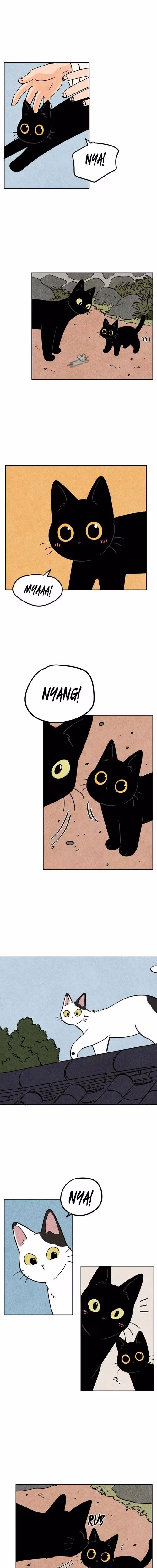 The Tale of Goldiluck the Black Kitten - Chapter 111 - Part 7