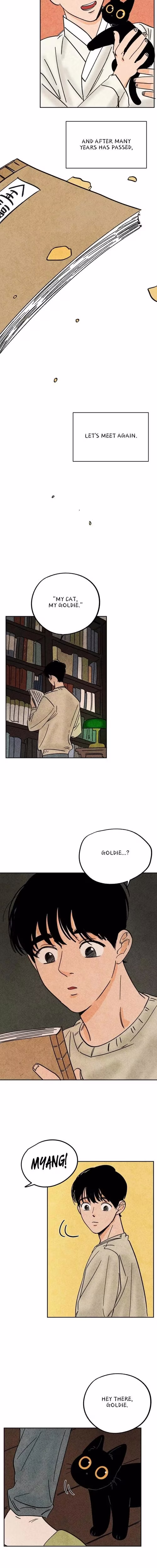 The Tale of Goldiluck the Black Kitten - Chapter 113 - Part 11