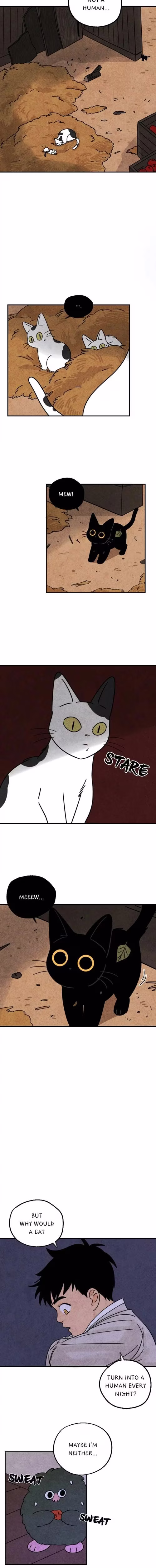 The Tale of Goldiluck the Black Kitten - Chapter 17 - Part 8