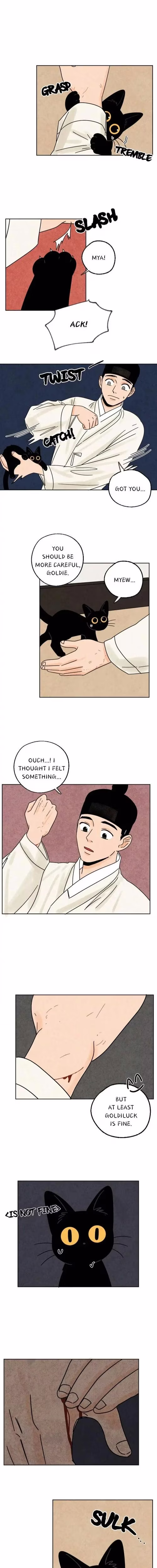 The Tale of Goldiluck the Black Kitten - Chapter 23 - Part 8