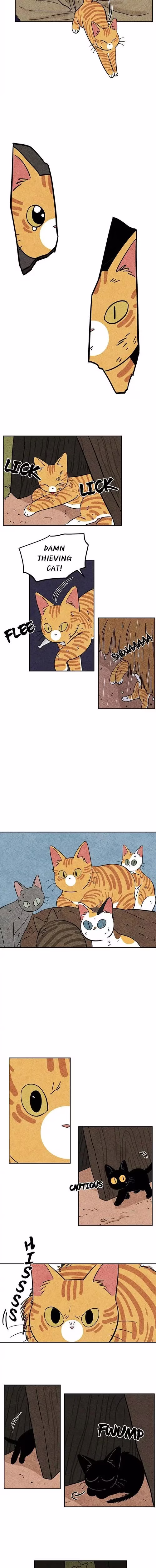 The Tale of Goldiluck the Black Kitten - Chapter 31 - Part 6