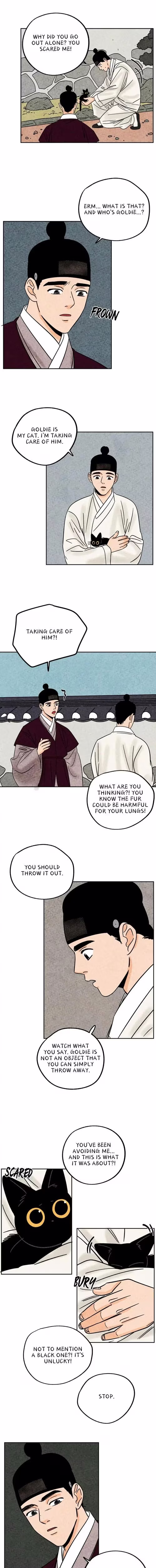 The Tale of Goldiluck the Black Kitten - Chapter 44 - Part 8