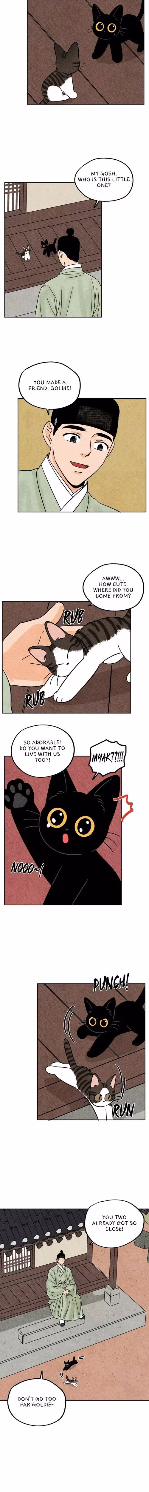 The Tale of Goldiluck the Black Kitten - Chapter 53 - Part 6