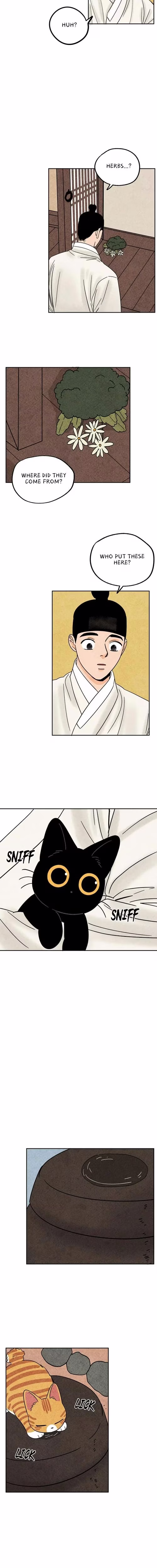 The Tale of Goldiluck the Black Kitten - Chapter 62 - Part 6