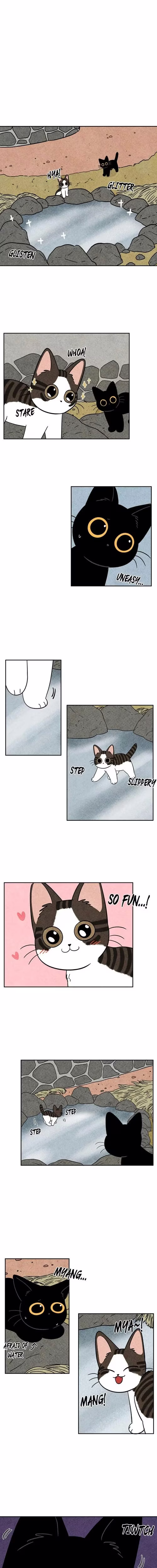 The Tale of Goldiluck the Black Kitten - Chapter 62 - Part 8