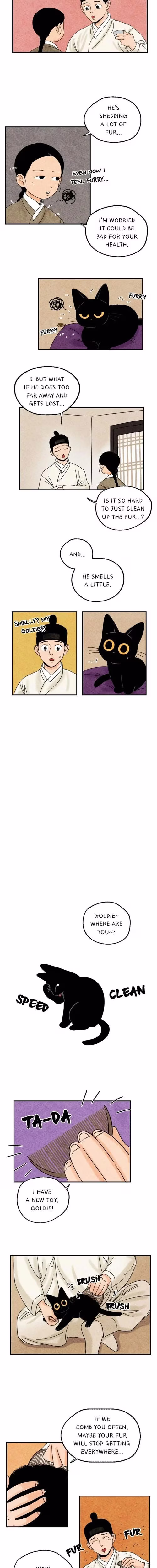 The Tale of Goldiluck the Black Kitten - Chapter 8 - Part 3