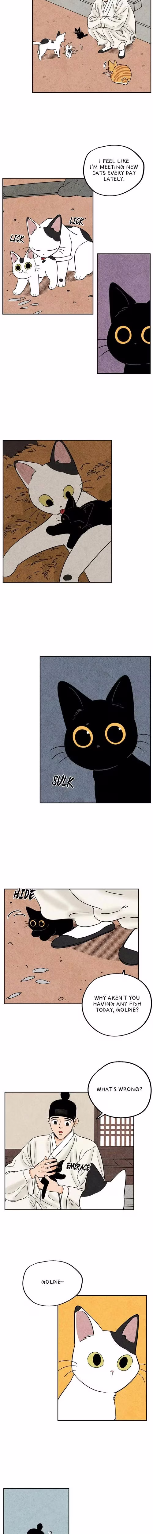 The Tale of Goldiluck the Black Kitten - Chapter 81 - Part 6