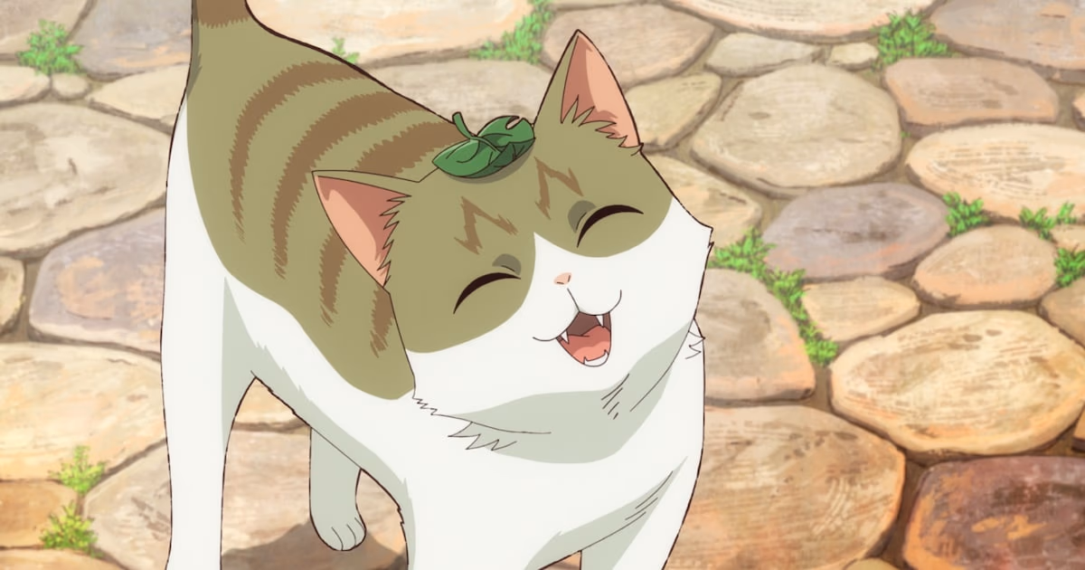 Cat and Dragon Anime Starts on July 4: New Cast and First Promotional Video Released