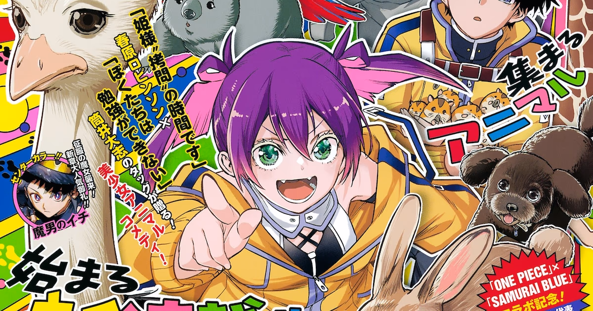 New Series in Jump from Creators of Hime-sama and We Never Learn: Animal Signal